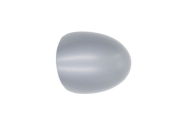 Korpusas, išorinis veidrodėlis BLIC 6103-09-2002217P