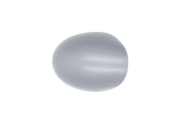 Korpusas, išorinis veidrodėlis BLIC 6103-09-2002218P