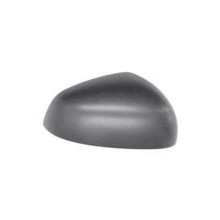 Korpusas, išorinis veidrodėlis BLIC 6103-09-2002248P