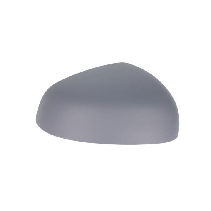 Korpusas, išorinis veidrodėlis BLIC 6103-09-2002250P