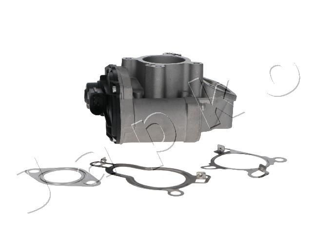 ERG vožtuvas JAPKO 150104