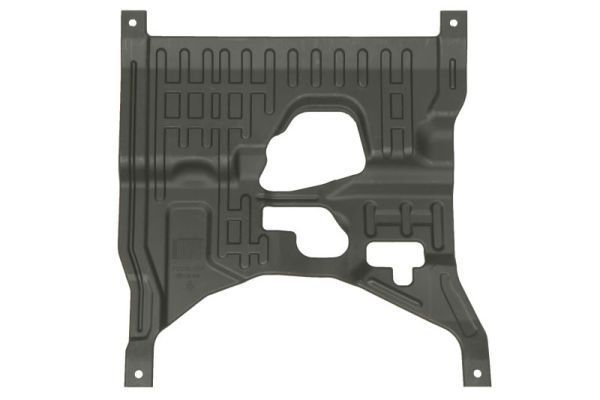 Variklio dangtis BLIC 6601-02-0553860Q