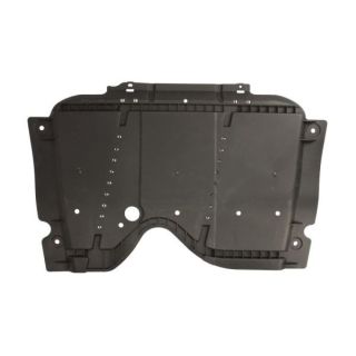 Variklio dangtis BLIC 6601-02-1013881Q