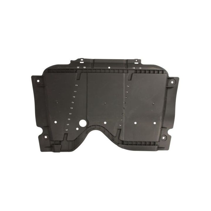 Variklio dangtis BLIC 6601-02-1013881Q