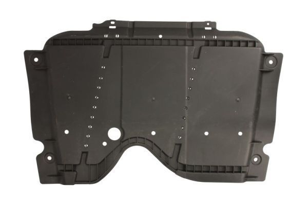 Variklio dangtis BLIC 6601-02-1013881Q