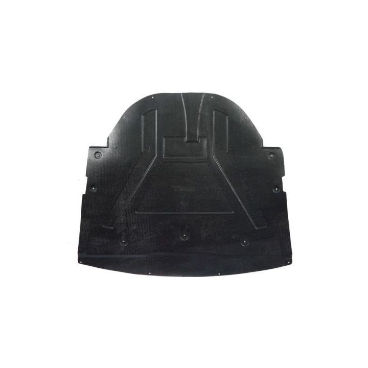 Variklio dangtis BLIC 6601-02-1617864P