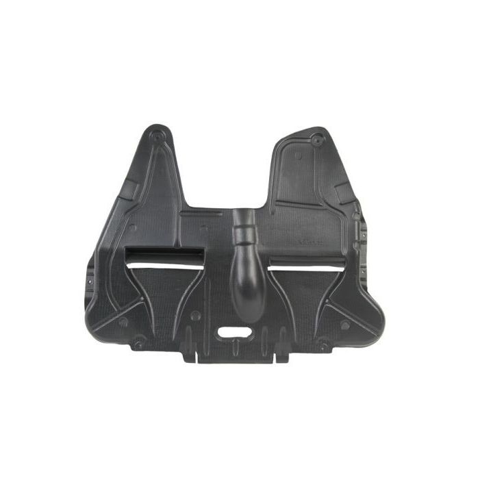 Variklio dangtis BLIC 6601-02-2008860P