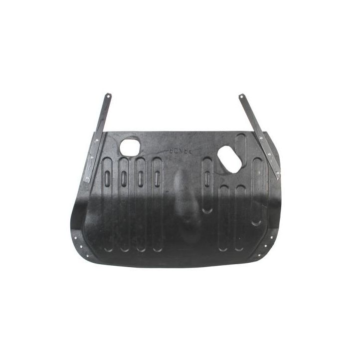 Variklio dangtis BLIC 6601-02-2008861P