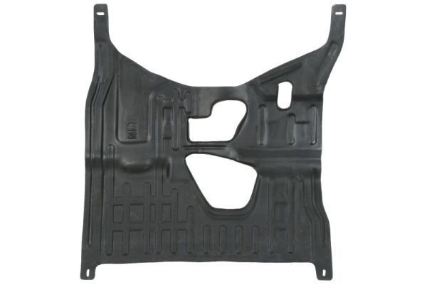 Variklio dangtis BLIC 6601-02-2018860P