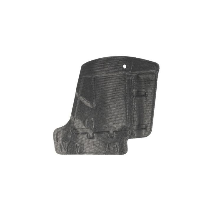 Variklio dangtis BLIC 6601-02-2048871P