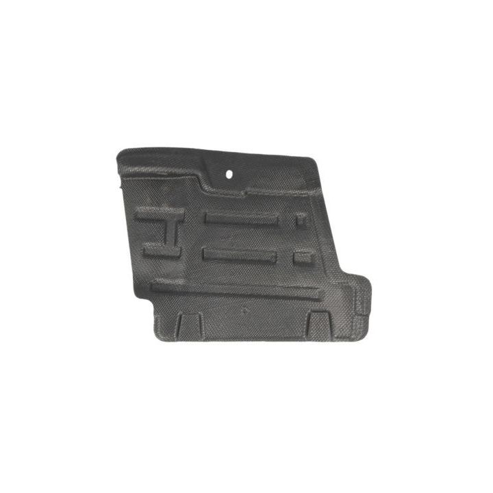 Variklio dangtis BLIC 6601-02-2048872P