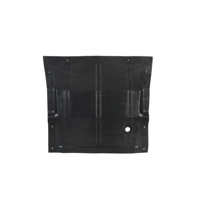 Variklio dangtis BLIC 6601-02-2094860P