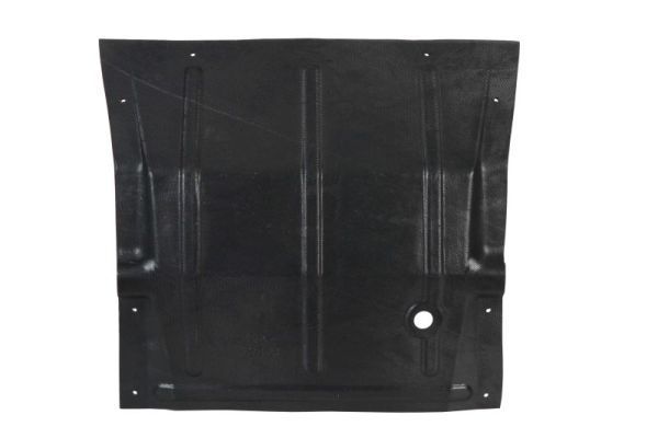 Variklio dangtis BLIC 6601-02-2094860P