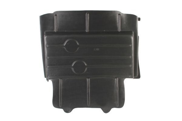 Variklio dangtis BLIC 6601-02-2509860P