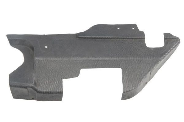 Variklio dangtis BLIC 6601-02-3082872P