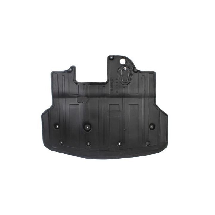 Variklio dangtis BLIC 6601-02-3138860P