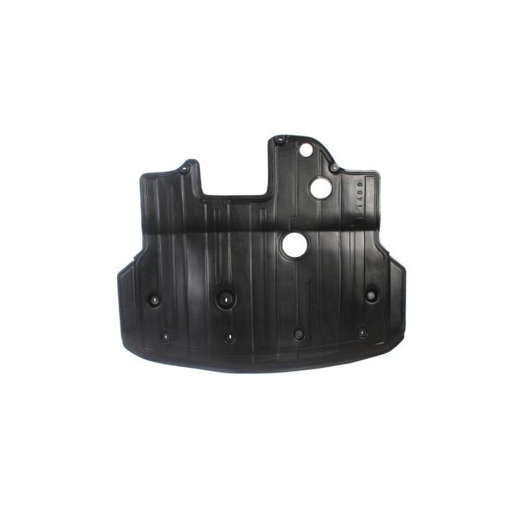 Variklio dangtis BLIC 6601-02-3138861P