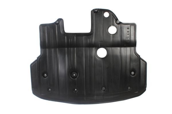 Variklio dangtis BLIC 6601-02-3138861P