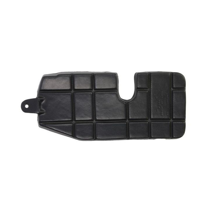 Variklio dangtis BLIC 6601-02-3155862P