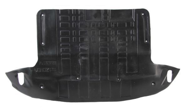 Variklio dangtis BLIC 6601-02-3175861P