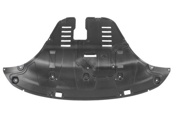 Variklio dangtis BLIC 6601-02-3289865P