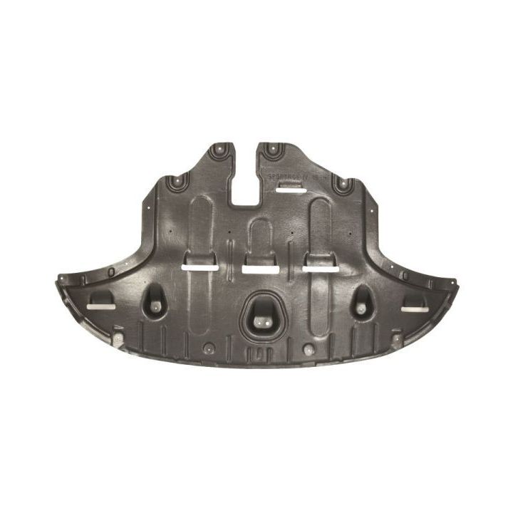 Variklio dangtis BLIC 6601-02-3293860P