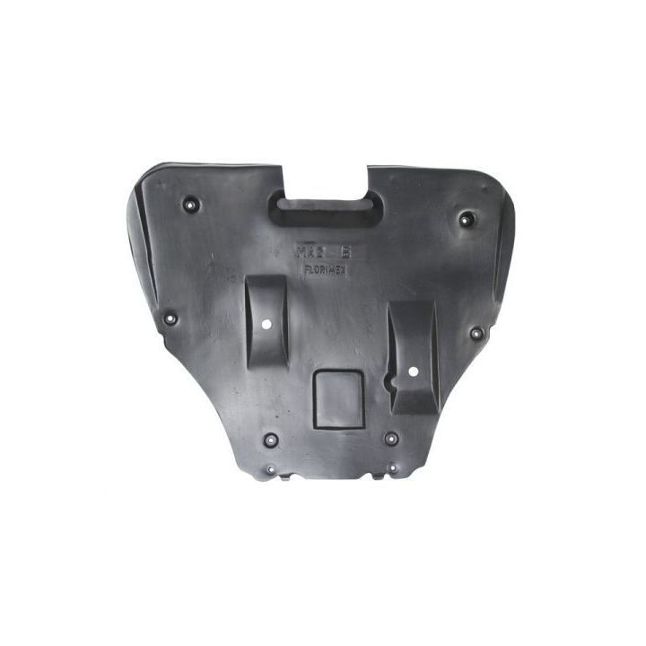 Variklio dangtis BLIC 6601-02-3451860P