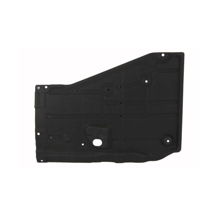 Variklio dangtis BLIC 6601-02-3479981P