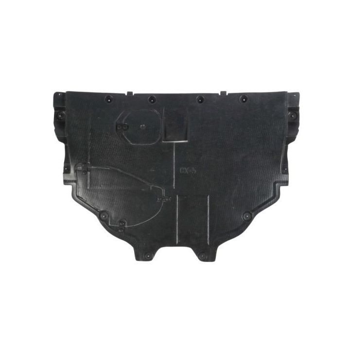 Variklio dangtis BLIC 6601-02-3495860P