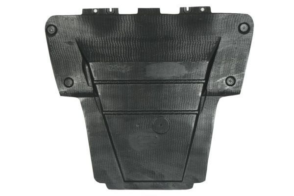 Variklio dangtis BLIC 6601-02-6011860P