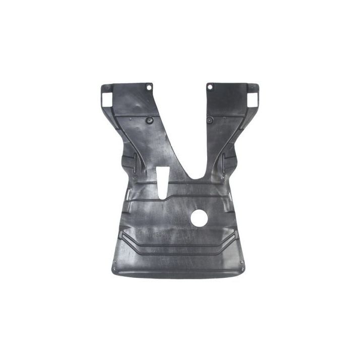 Variklio dangtis BLIC 6601-02-6037860P