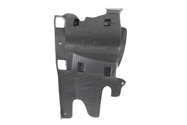 Variklio dangtis BLIC 6601-02-6055872P