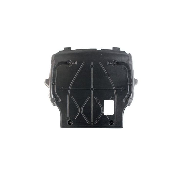 Variklio dangtis BLIC 6601-02-9568860P