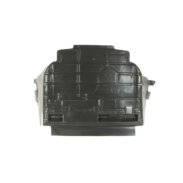 Variklio dangtis BLIC 6601-05-0000002P