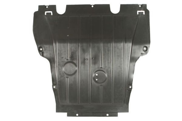 Variklio dangtis BLIC 6601-05-0000007Q