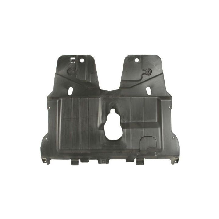 Variklio dangtis BLIC 6601-05-0000008Q