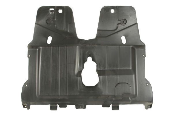 Variklio dangtis BLIC 6601-05-0000008Q