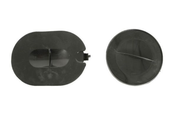 Variklio dangtis BLIC 6601-05-0000013Q