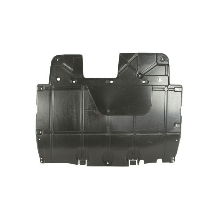 Variklio dangtis BLIC 6601-05-0000018Q