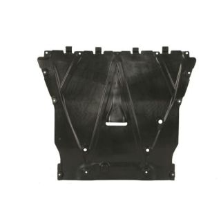 Variklio dangtis BLIC 6601-05-0000030Q