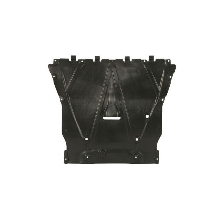 Variklio dangtis BLIC 6601-05-0000030Q