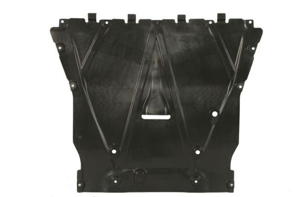 Variklio dangtis BLIC 6601-05-0000030Q