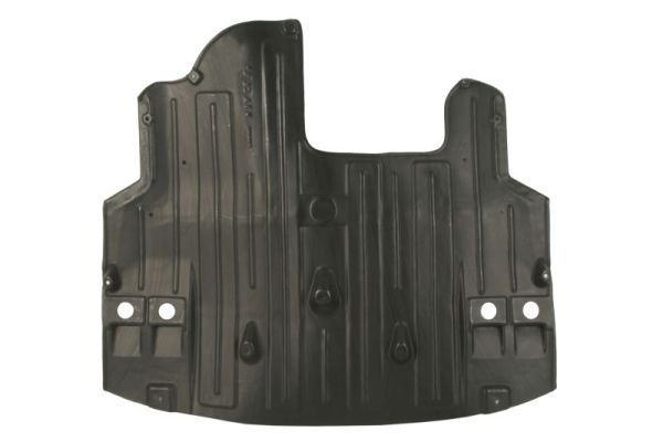 Variklio dangtis BLIC 6601-05-0000046Q