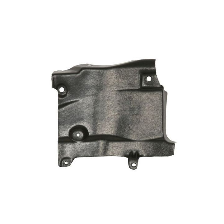 Variklio apatinis skydas BLIC 6601-02-3447862P