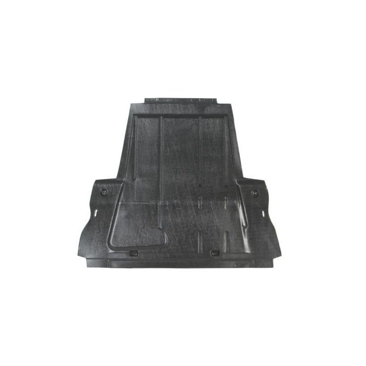 Variklio apatinis skydas BLIC 6601-02-6041860Q