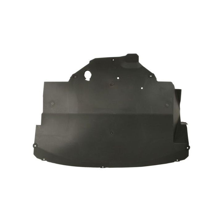 Variklio apatinis skydas BLIC 6601-02-6089860Q