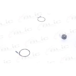 Remonto komplektas, langai BLIC 6205-21-036806P