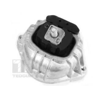 Variklio montavimas TEDGUM 00088490