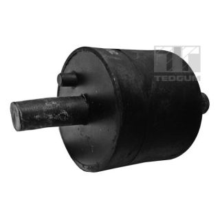 Variklio montavimas TEDGUM 00089175