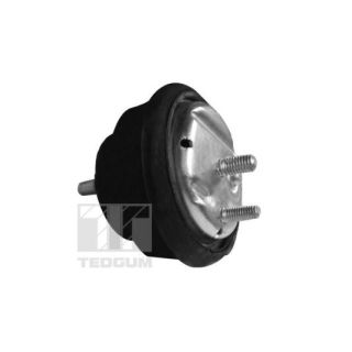 Variklio montavimas TEDGUM 00089778